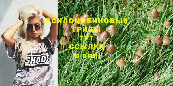 mix Балабаново