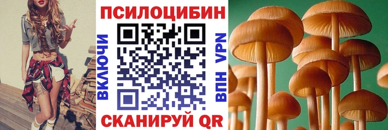 ОМГ ОМГ ONION купить наркотик Благодарный Галлюциногенные грибы прущие грибы